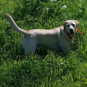 Meet your Posher, Jan